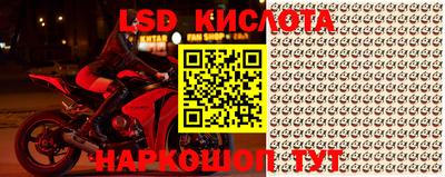 прущие грибы Коммунар
