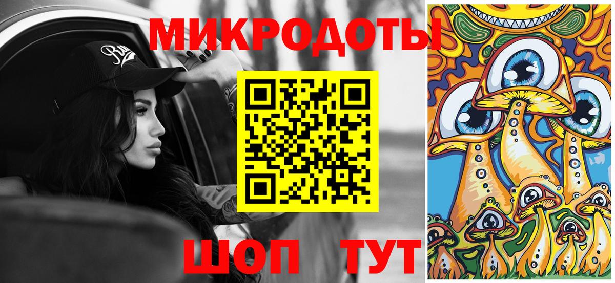Псилоцибиновые грибы мухоморы  продажа наркотиков  Элиста  Вход с VPN 