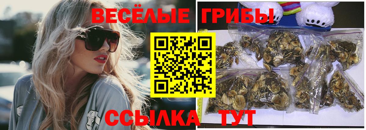 Галлюциногенные грибы MAGIC MUSHROOMS Элиста